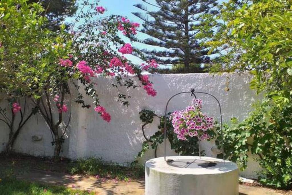 Villa Mozia Riserva Dello Stagnone Marsala Bagian luar foto